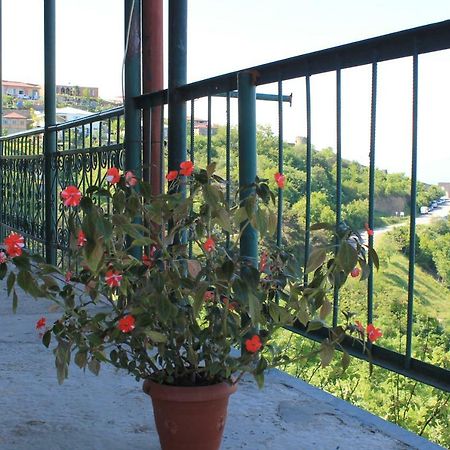 Guest House Shota Sighnaghi Exterior photo