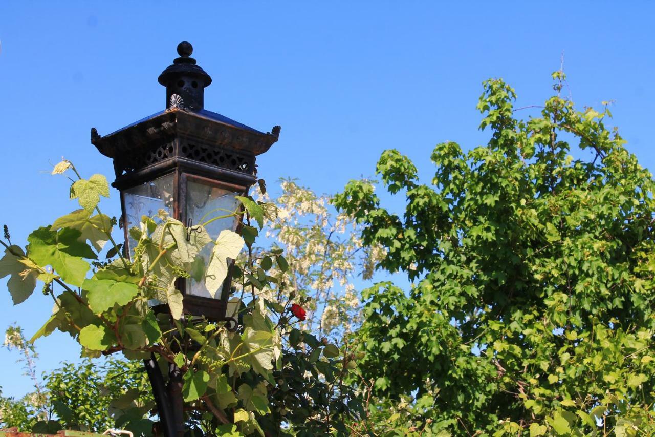Guest House Shota Sighnaghi Exterior photo